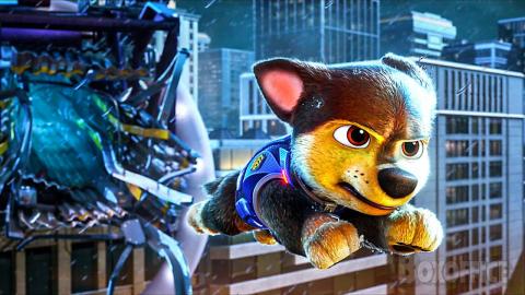 ALL the BEST Scenes with CHASE | Paw Patrol Movies Compilation ????⚡ 4K