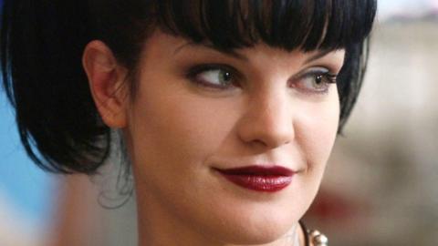 Things You Forgot Happened In NCIS Season 1