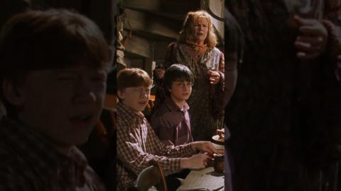 The many stars of the #HarryPotter franchise have been everywhere! #Shorts
