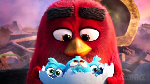 The Angry Birds cutest moments ???? 4K