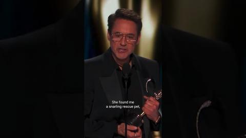 Adopt, don't shop! ???? #Oscars #RobertDowneyJr #Shorts