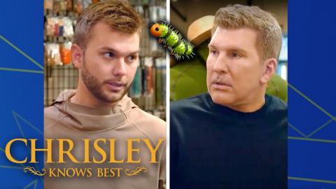 Camo prevents bug bites?? ????  | Chrisley Knows Best | USA Network #shorts