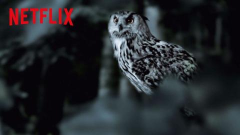 The Staircase | The Owl Theory | Netflix