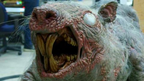 How Cabinet Of Curiosities Pulled Off The Rat Queen's Terrifying Look