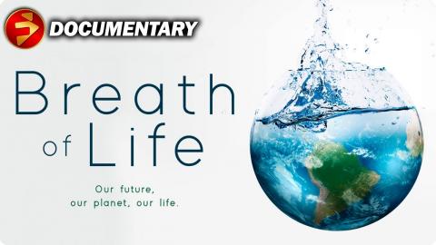 Environmental catastrophe...Why humans are destroying the world | BREATH OF LIFE | Free Documentary