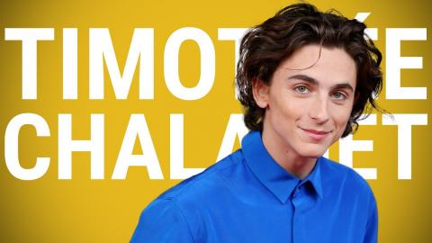 The Rise of Timothée Chalamet