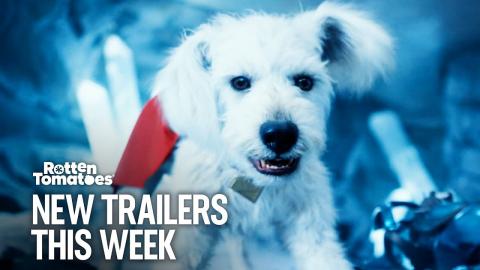 New Trailers This Week | Week 20 (2025)