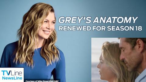 'Grey's Anatomy' Renewed For Season 18, Ellen Pompeo Signs New Deal | NewsLine