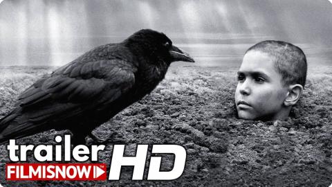 THE PAINTED BIRD Trailer (2020) Stellan Skarsgard, Harvey Keitel Movie