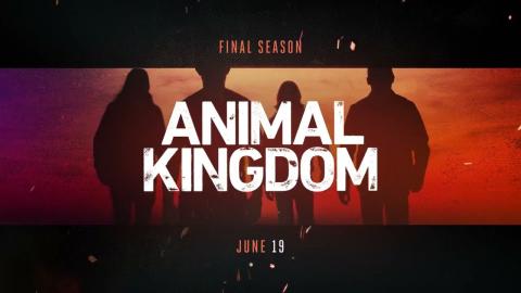 Animal Kingdom Season 6 Teaser Trailer (HD) Final Season