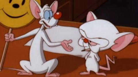 Things Only Adults Notice In Pinky And The Brain