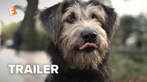 Lady and the Tramp Trailer #2 (2019) | Movieclips Trailers