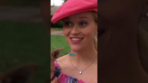 Elle Woods Is Back In Legally Blonde 3 #legallyblonde #reesewitherspoon #sequel