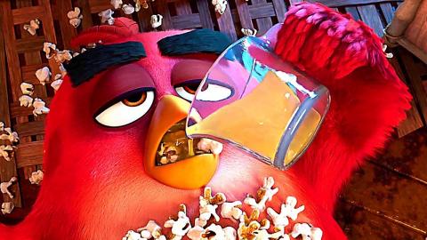 ANGRY BIRDS 2 "Let's Drink!" Clip (Animation, 2019)