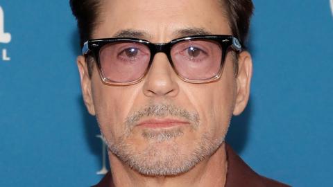 Robert Downey Jr.'s Tragic True Life Story