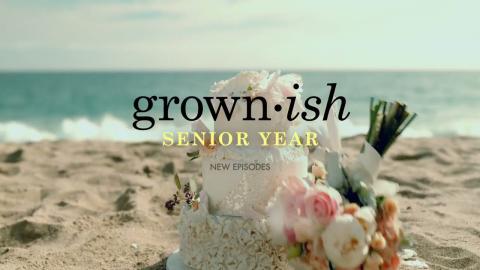 Grown-ish Season 4 "Who’s Getting Married?" Teaser Promo (HD)