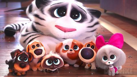 Cute puppies goes to dog school | The Secret Life of Pets 2 | CLIP