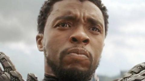 The MCU Reacts To Chadwick Boseman's Death