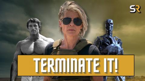 Linda Hamilton Thinks the Terminator Franchise should be Terminated [For the Good of All]