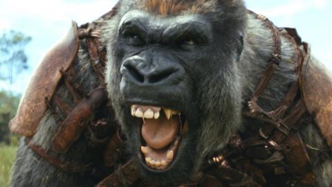 Why Kingdom Of The Planet Of The Apes Blew Everyone Away At The Box Office