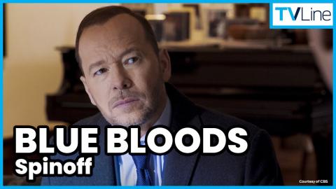Blue Bloods Spinoff Starring Donnie Wahlberg as Danny Reagan is Official on CBS!