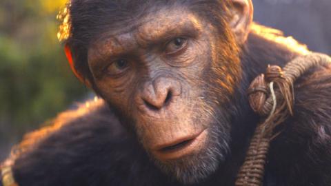 The Ending Of Kingdom Of The Planet Of The Apes Explained