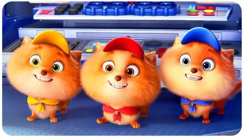 Pups Training Scene - PAW PATROL 2: The Mighty Movie