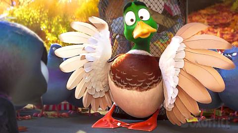 Cute Ducks Family meets the Trashy Pigeons Gang | Migration | CLIP