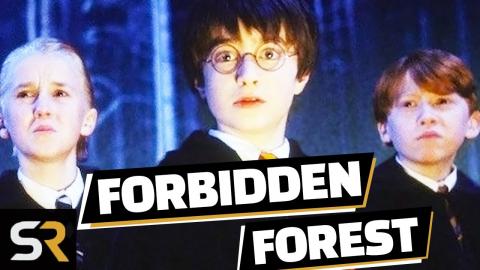 10 Things Harry Potter Changed In The Forbidden Forest