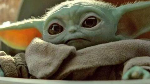 Everything We Know About Baby Yoda's Species