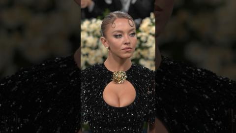#SydneySweeney honors #KimNovak at the #MetGala. #Shorts