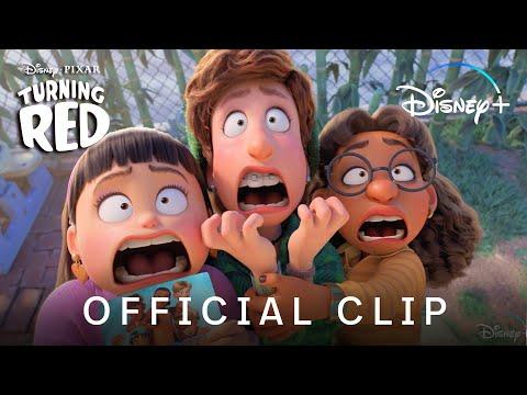 “She’s A Red Panda” Clip | Turning Red | Disney+