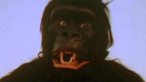 Bizarre King Kong Ripoffs You Never Knew Existed