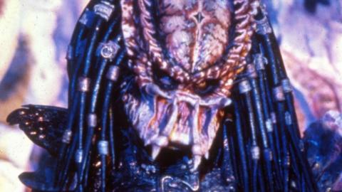 The Real Reason These Predator Movies Were Canceled