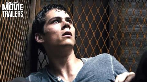 Maze Runner: The Death Cure | Discover the story of the maze