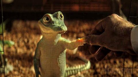 Javier Bardem adopts a singing crocodile