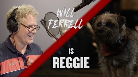 Strays | Meet Reggie Featurette