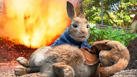 Blowing Up the Bunnies | Peter Rabbit | CLIP