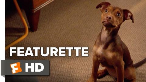 A Dog's Way Home Featurette - Bryce (2019) | Movieclips Coming Soon