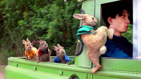 Peter Rabbit's best funny scenes ???? 4K