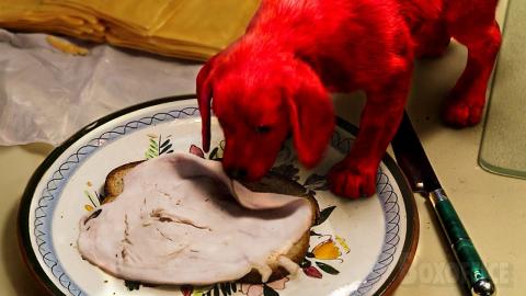 Baby Clifford steals ham is secret!