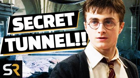 Harry Potter: 10 Room Of Requirement Scenes The Movies Didn't Show