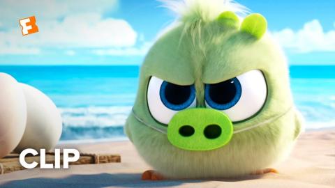 The Angry Birds Movie 2 Movie Clip - Hatchling Eggs (2019) | Movieclips Coming Soon