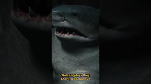 King Shark is an underrated Stallone Role