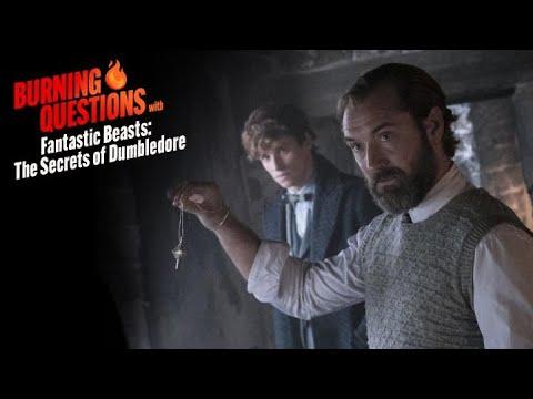 'Fantastic Beasts' Stars Jude Law & Eddie Redmayne Answer Burning Questions