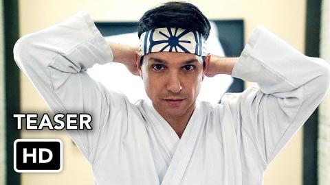 Cobra Kai Season 3 Release Date Teaser (HD) Netflix series