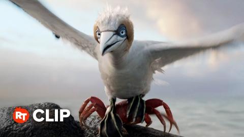 The Little Mermaid Movie Clip - You Listen to Me Bird (2023)