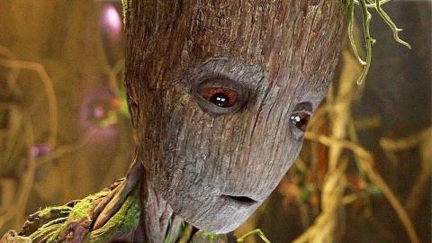 Groot's Heartbreaking Final Line In Infinity War Revealed