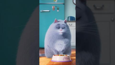 Thanks, I hate it | ???? The Secret Life of Pets (2016)