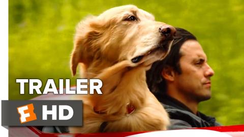 The Art of Racing in the Rain Trailer #1 (2019) | Movieclips Trailers